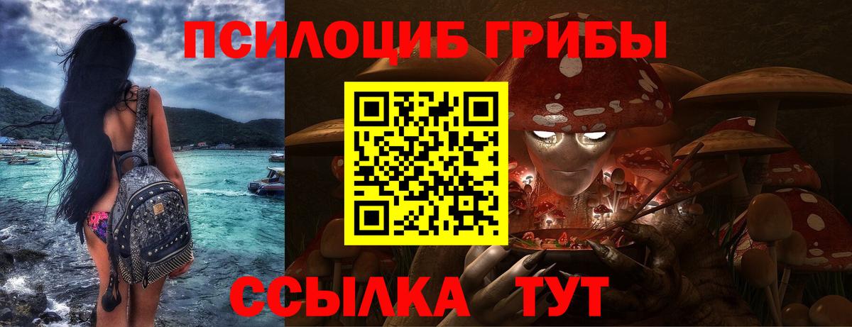 Галлюциногенные грибы прущие грибы Киров