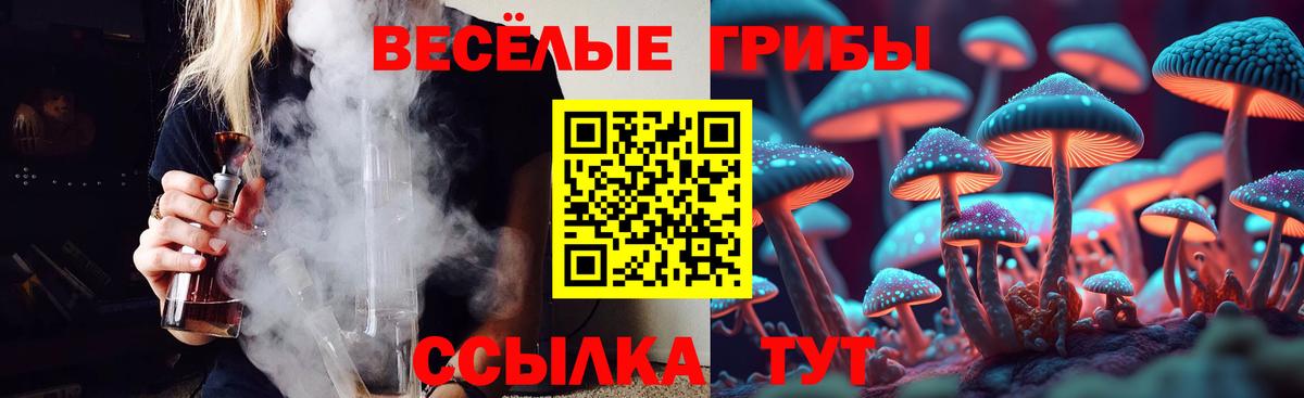 Галлюциногенные грибы мицелий  Вход с VPN  Галлюциногенные грибы прущие грибы  Киров 